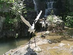 门面-陶祖圣境风景区