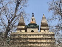 -北京石刻艺术博物馆(五塔寺)