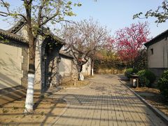 -万源龙顺度假庄园生态观光园