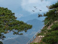 -天柱山风景区