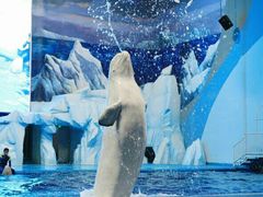 -福州罗源湾海洋世界旅游区