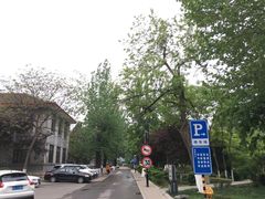 -山东大学(洪家楼校区)