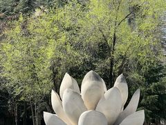 -木塔寺遗址生态公园