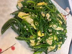 -靖远尕六美味羊羔肉