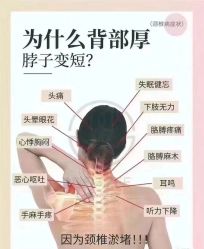 -香薇妮丝女子减肥院