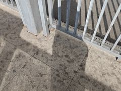 -元熹会席料理