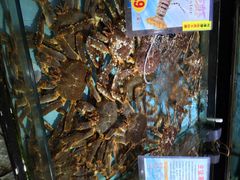 iphone_upload_pic-渔民新村(番禺总店)