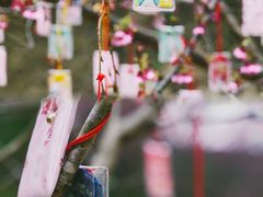 -世间香境·七溪地