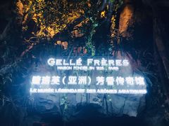 -花之城