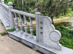 -塘沽森林公园