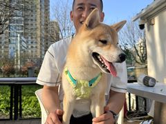 -小意思咖啡店(草桥店)