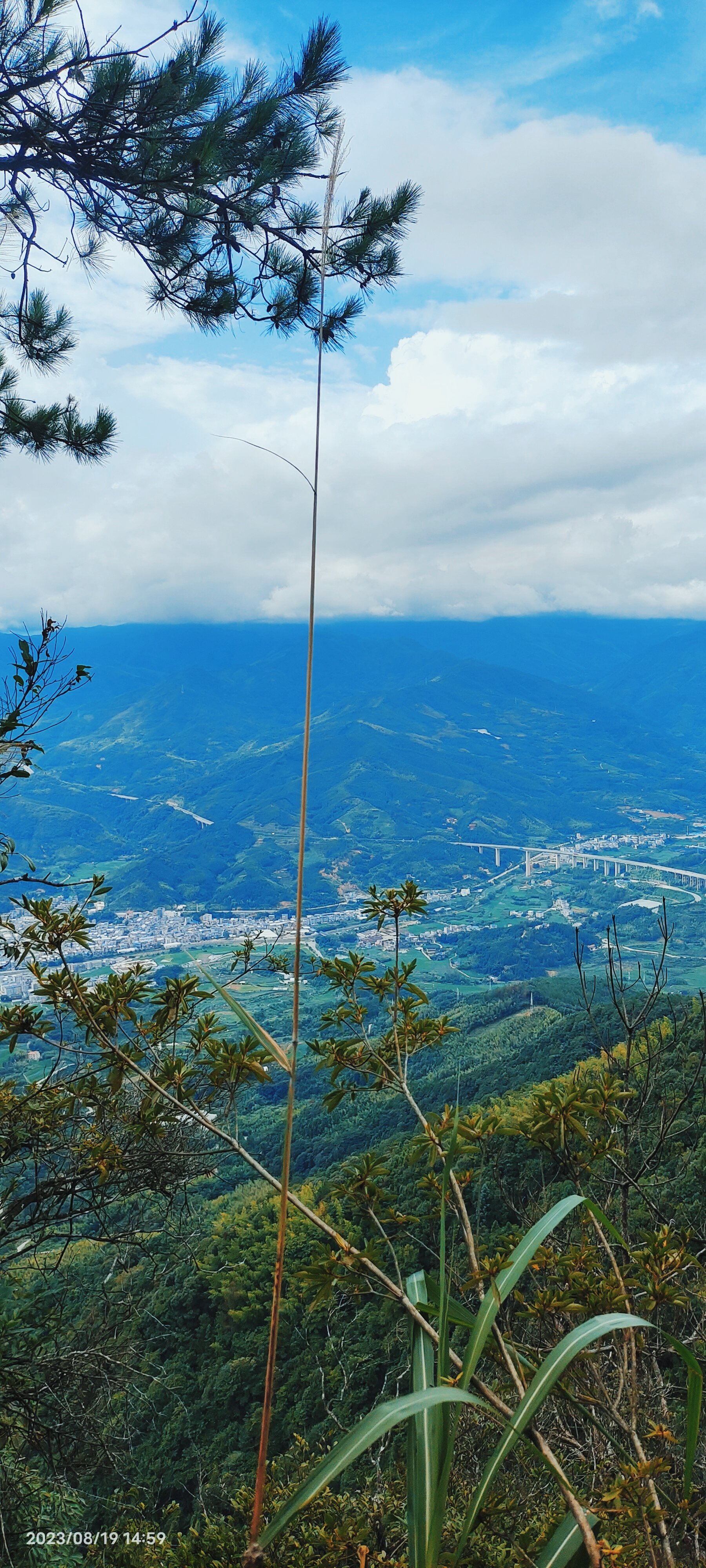 山顶的风景 眺望图片