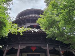 -八大山人梅湖景区