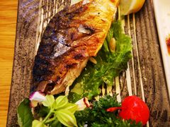 -樱の千渡日式料理·铁板烧•烧鸟(金盛田广场店)