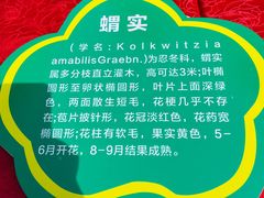 -老君堂公园