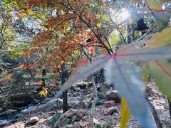 -虞山风景区