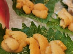 海胆刺身-九井澤精致料理(金茂店)