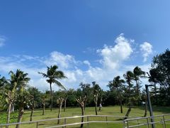 -亚龙湾中心广场