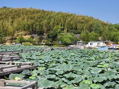 -南北湖风景区
