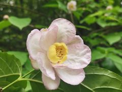 -红烧鱼头·杭帮菜·特色烧烤