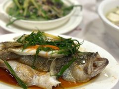 -陈记粤湛鸡饭店