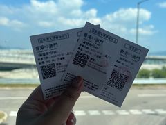 -港珠澳大桥(珠海段)
