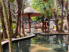 -罗浮山嘉宝田森林温泉度假酒店