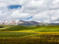 -祁连山草原