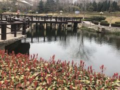 -丁家河公园
