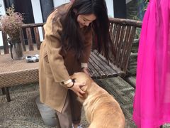 -浔岚云舍mist静谧观景美宿(丽江古城店)