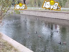 -元大都城垣遗址公园