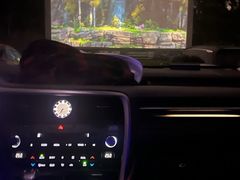 -枫花园汽车电影院(朝阳公园店)