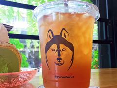 -TrueLove @ Neverland (Husky Cafe)