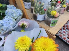 -循礼门鲜花花市(武汉循礼门店)