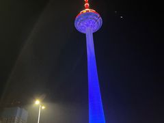 -辽宁电视塔