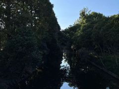 -上海滨江森林公园