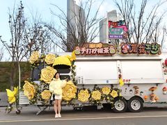 -南京眼步行桥