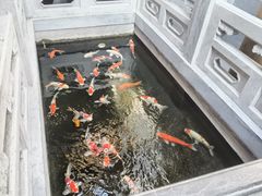 -鲤院·新中式美学·庭院餐厅(夫子庙店)