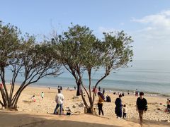 -黄金海岸环岛路