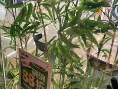 -万达广场(宝山店)
