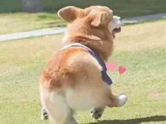 -义顺牛奶公司(庇利金街店)