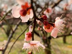 -蜀冈西峰生态公园