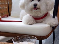 -Echo回声黑胶唱片咖啡馆