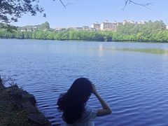 -三水森林公园