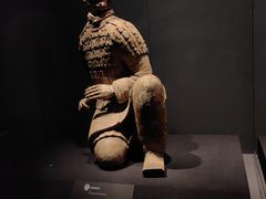 -陕西历史博物馆