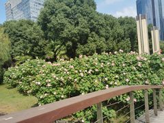 -中央公园(苏州工业园区)