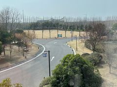 -黄海国家森林公园