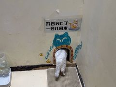 -藏猫猫咖啡主题馆(中央大道店)