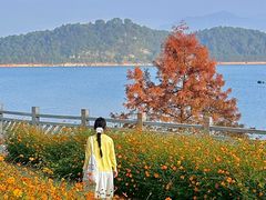 -飞天山旅游区