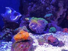 -成都浩海立方海洋公园